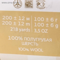 Пряжа для вязания спицами, крючком &laquo;Пехорский текстиль. Овечья шерсть&raquo;, 100% шерсть, 200 м/100 г, (166 суровый)
