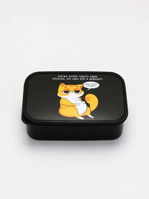 Ланч-бокс &laquo;Кот&raquo;, 1200 мл