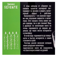 Набор для опытов &laquo;Шагающая радуга&raquo;