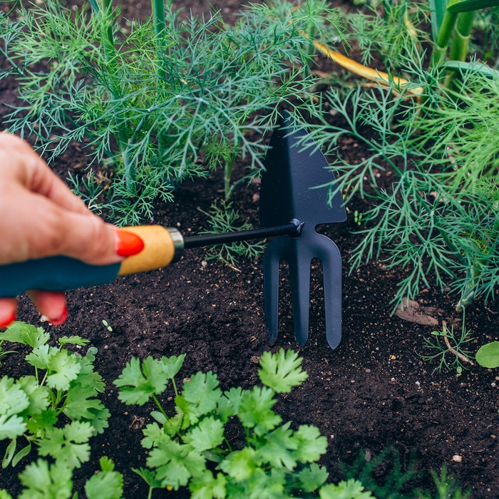 Мотыжка комбинированная Greengo, длина 30 см, деревянная ручка с поролоном Мотыжка комбинированная Greengo, длина 30 см, деревянная ручка с поролоном