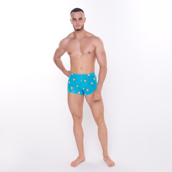 Трусы мужские боксеры «Гуси», цвет голубой, размер 54 (XXL) Трусы мужские боксеры «Гуси», цвет голубой, размер 54 (XXL)