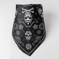 Бандана &laquo;Пират&raquo;, взрослая, 50х50 см