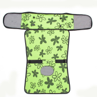 Сумка - переноска для животных "Цветы", зелёная, размер М, 40 х 21 х 27 см Сумка - переноска для животных "Цветы", зелёная, размер М, 40 х 21 х 27 см