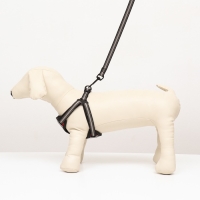 Комплект амуниции светоотражающий, размер S, ОГ 35-60 см, стропа 1,5 см, серый Комплект амуниции светоотражающий, размер S, ОГ 35-60 см, стропа 1,5 см, серый