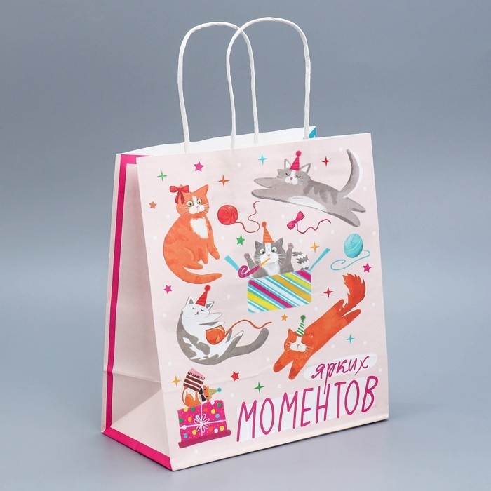 Пакет подарочный крафтовый, упаковка, &laquo;Вечеринка&raquo;, 22 х 25 х 12 см