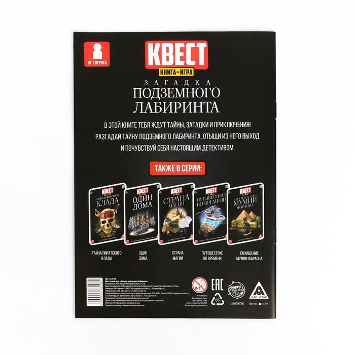 Книга-квест «Загадка подземного лабиринта» версия 2, 8+ Книга-квест «Загадка подземного лабиринта» версия 2, 8+