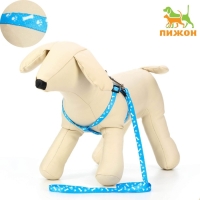 Комплект "Классика", капрон, поводок 120 х 1 см, ОГ 21-35 см, голубой Комплект "Классика", капрон, поводок 120 х 1 см, ОГ 21-35 см, голубой