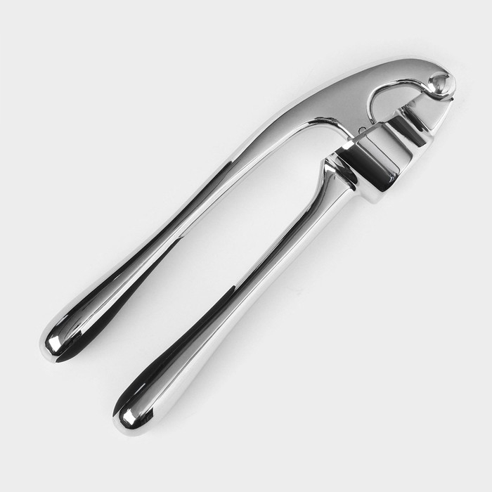 Пресс для чеснока Доляна &laquo;Идея&raquo;, 16,5 см