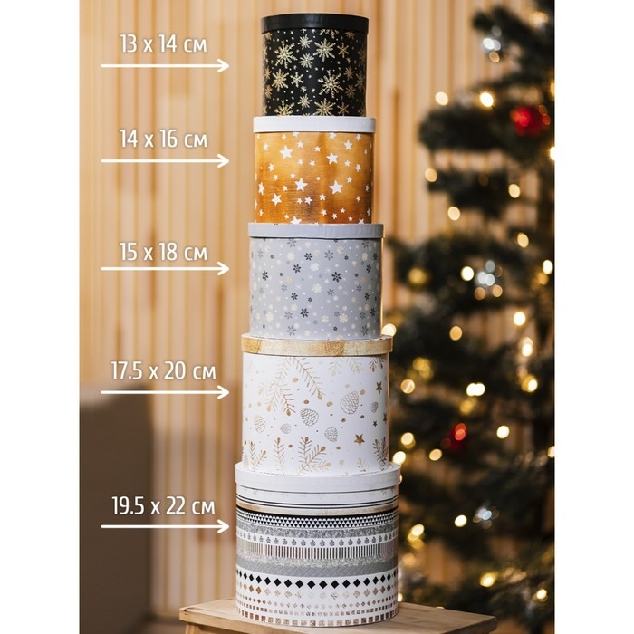 Набор подарочных коробок 5 в 1 &laquo;Изморозь&raquo;, 13 х 14‒19.5 х 22 см 3580137, Новый год