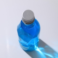 Гель для душа во флаконе водки &laquo;Абсолютно лучший из лучших&raquo;, 250 мл, аромат мужского парфюма, Новый Год