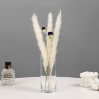 Ваза "Ротонда-3" 15х6,5 см, 0,43л 2824 прозрачная Ваза "Ротонда-3" 15х6,5 см, 0,43л 2824 прозрачная