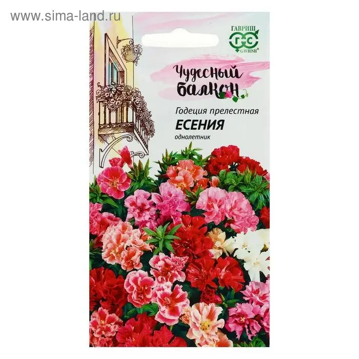 Семена цветов Годеция "Есения", ц/п,  низкая, смесь, серия Чудесный балкон,  0,05 г