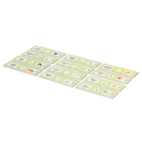 Набор для опытов &laquo;Набор микропрепаратов&raquo;, растения