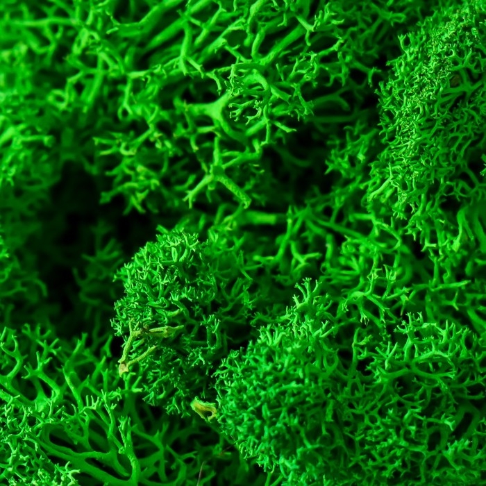 Кашпо бетонное "Пятиугольник" высота 8 см белое со мхом (мох зеленый стабилизированный)