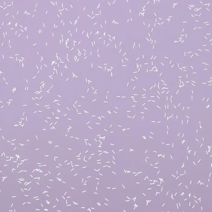 Пленка для цветов, &laquo;Звёздное небо&raquo;, лиловый, 57&times;57 см