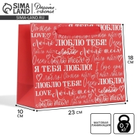 Пакет подарочный ламинированный горизонтальный, упаковка, &laquo;Люблю&raquo;, MS 23 х 18 х 10 см