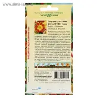 Семена цветов Георгина "Коларетте", ц/п,   0,2 г