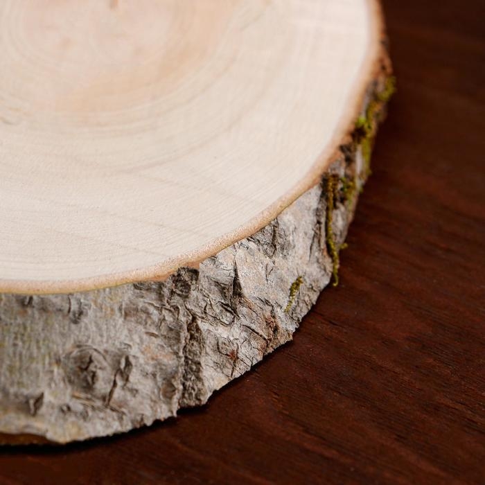 Спил осины, косой, 35х16 &plusmn;2см