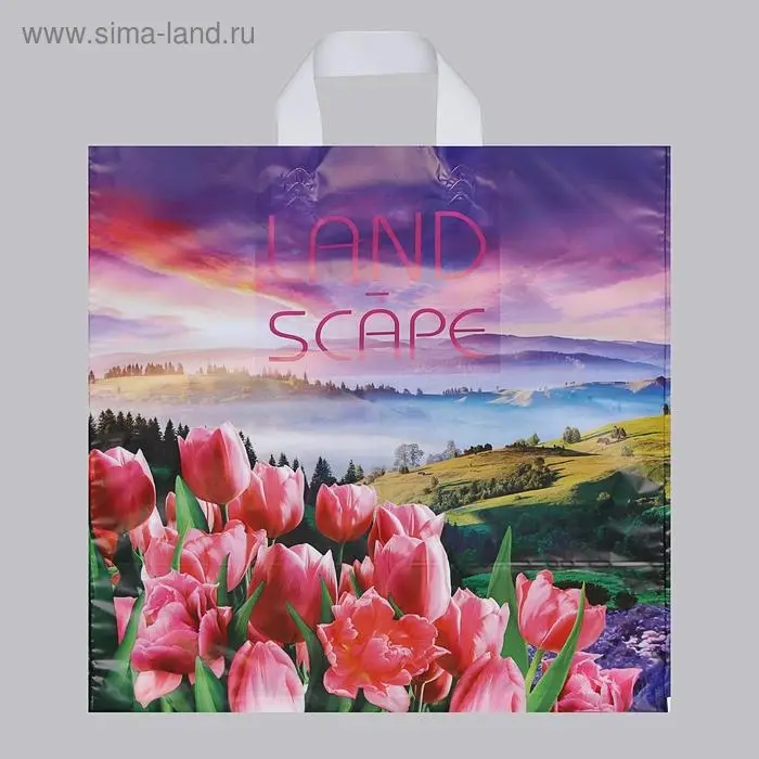 Пакет &laquo;Просторы&raquo;, полиэтиленовый с петлевой ручкой, 38&times;42 см, 40 мкм