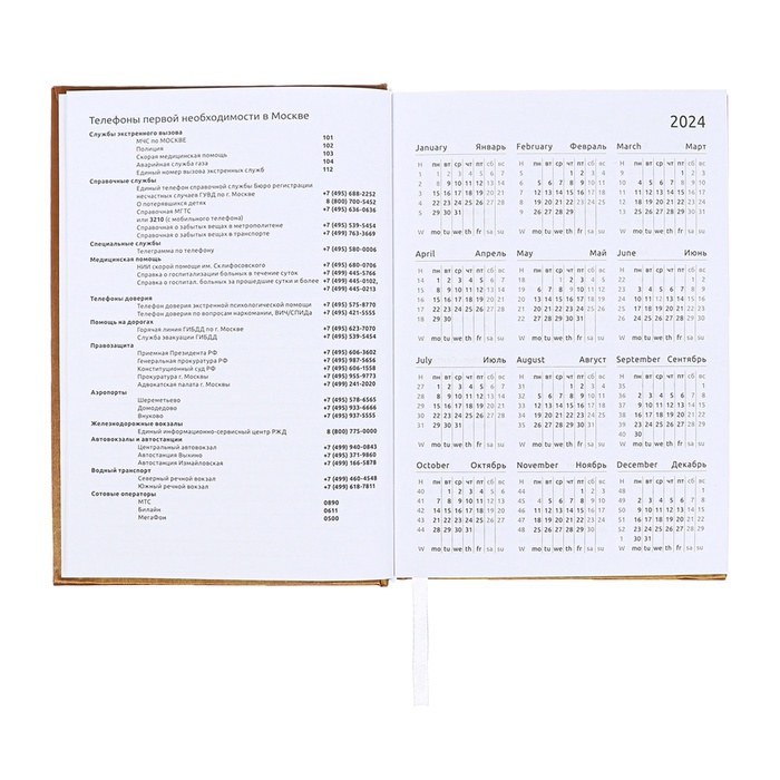 Ежедневник датированный 2024 года, А5, 176 листов, Attomex.Regent, обложка бумвинил, ляссе, блок 70 г/м2, золотой