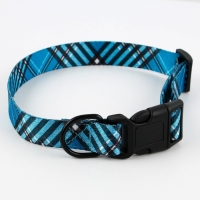 Ошейник &laquo;Джентльмен&raquo;, застёжка - фастекс, 2.5 см, 40-55 см