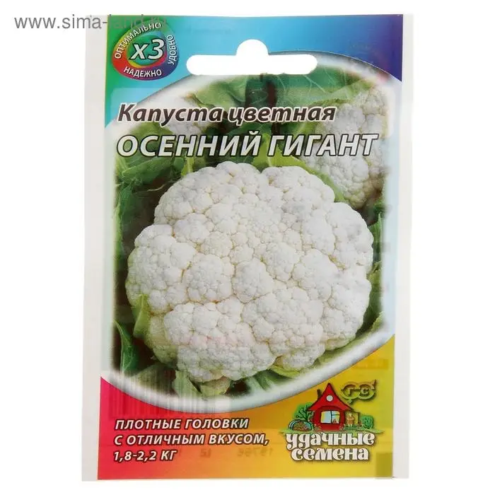 Семена Капуста цветная "Осенний гигант", ц/п, 0,1 г серия ХИТ х3