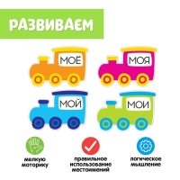 Обучающий набор с прищепками &laquo;Мой, моя, моё, мои&raquo;