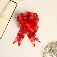 Бант-шар №5 Бант-шар №5