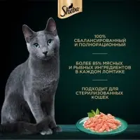Влажный корм Sheba для кошек, лосось, пауч, 75 г
