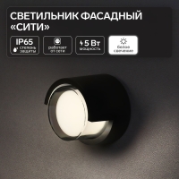 Светильник фасадный &laquo;Сити&raquo;, FSD-049, 5 Вт, 4000К, круг, IP65, 220 В, пластик, черный