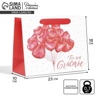 Пакет подарочный ламинированный горизонтальный, упаковка, &laquo;Ты моё счастье&raquo;, MS 23 х 18 х 10 см