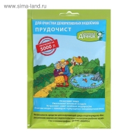 Биологическое средство для чистки декоративных прудов и фонтанов &laquo;Прудочист&raquo;, 90 г.