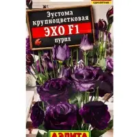 Семена цветов Эустома Эхо F1 пурпл крупноцветковая  (драже в пробирке) С. Sakata, Ц/П,5 шт.