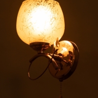 Бра 3905-159/1 40Вт E27 золото