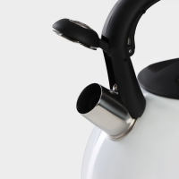 Чайник со свистком из нержавеющей стали Доляна &laquo;Сердце&raquo;, 3 л, с индикатором нагрева