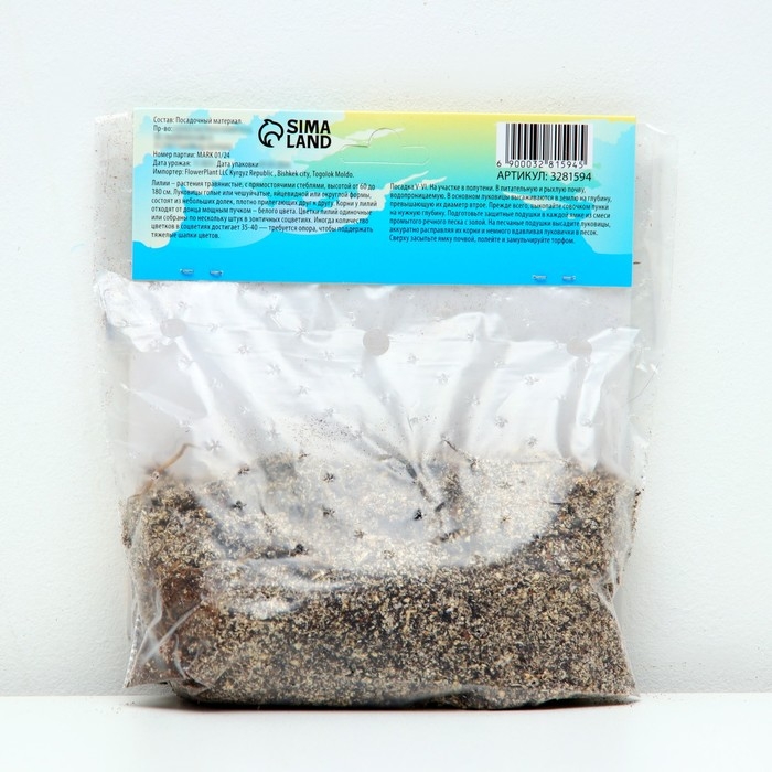 Лилия Тигровая Лилия Тигровая "Свит Суренде", р-р 12/14, 3 шт,