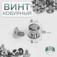 Кобурный винт d = 8/8 × 10 мм, 10 шт, цвет серебряный Кобурный винт d = 8/8 × 10 мм, 10 шт, цвет серебряный