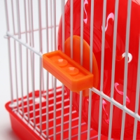 Клетка для грызунов укомплектованная RT-2t, 22 х 16 х 20 см, красная (фасовка 30 шт) Клетка для грызунов укомплектованная RT-2t, 22 х 16 х 20 см, красная (фасовка 30 шт)