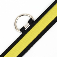 Ошейник с подсветкой Flash 3 режима свечения размер L, ОШ 45-52 х 2,5 см жёлтый Ошейник с подсветкой Flash 3 режима свечения размер L, ОШ 45-52 х 2,5 см жёлтый