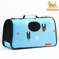 Сумка - переноска для животных "Путешественник", голубая, размер L, 53 х 21 х 29 см Сумка - переноска для животных "Путешественник", голубая, размер L, 53 х 21 х 29 см
