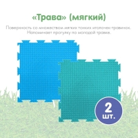 Модульный массажный коврик ОРТОДОН, набор &laquo;Чистюля&raquo;, антибактериальный