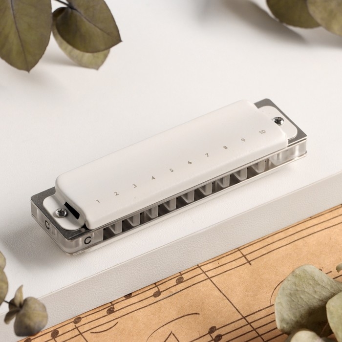 Губная гармошка Music Life T008L  C диатоническая, 10 отверстий, с футляром