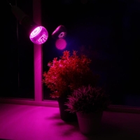 Фитолампа светодиодная Uniel, А60, Е27, 15 Вт, 250 В, 220&deg;, мультиспектральная