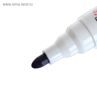 Набор маркеров для магнитно-маркерной доски, 3 мм, 12 цветов Набор маркеров для магнитно-маркерной доски, 3 мм, 12 цветов