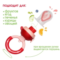 Ниблер для прикорма &laquo;Малина&raquo;, с силиконовой сеточкой, цвет красный