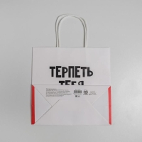Пакет подарочный, упаковка, &laquo;Терпеть тебя не могу&raquo;, 22 х 22 х 11 см
