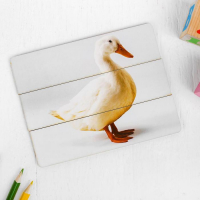 Разрезные картинки &laquo;Домашние животные&raquo; МИКС