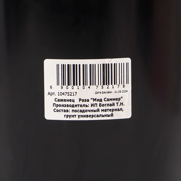Саженец Розы Саженец Розы "Мид Саммер", Горшок С4, Лето 2024