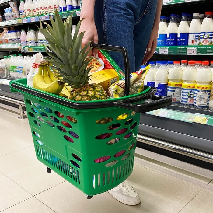Корзина-тележка на 4 колесах пластиковая, 38 л, с 2 пластиковыми ручками, цвет зелёный Корзина-тележка на 4 колесах пластиковая, 38 л, с 2 пластиковыми ручками, цвет зелёный