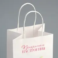 Пакет подарочный под бутылку, упаковка, &laquo;Прекрасного настроения&raquo;, белый крафт, 13 х 36 х 10
